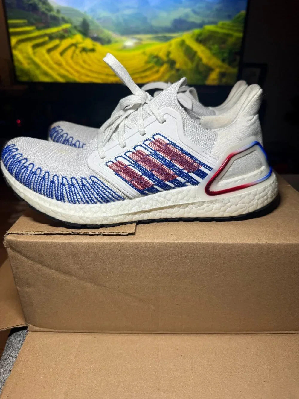 Mens Adidas Ultraboost